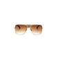 Hustler Sunglasses
